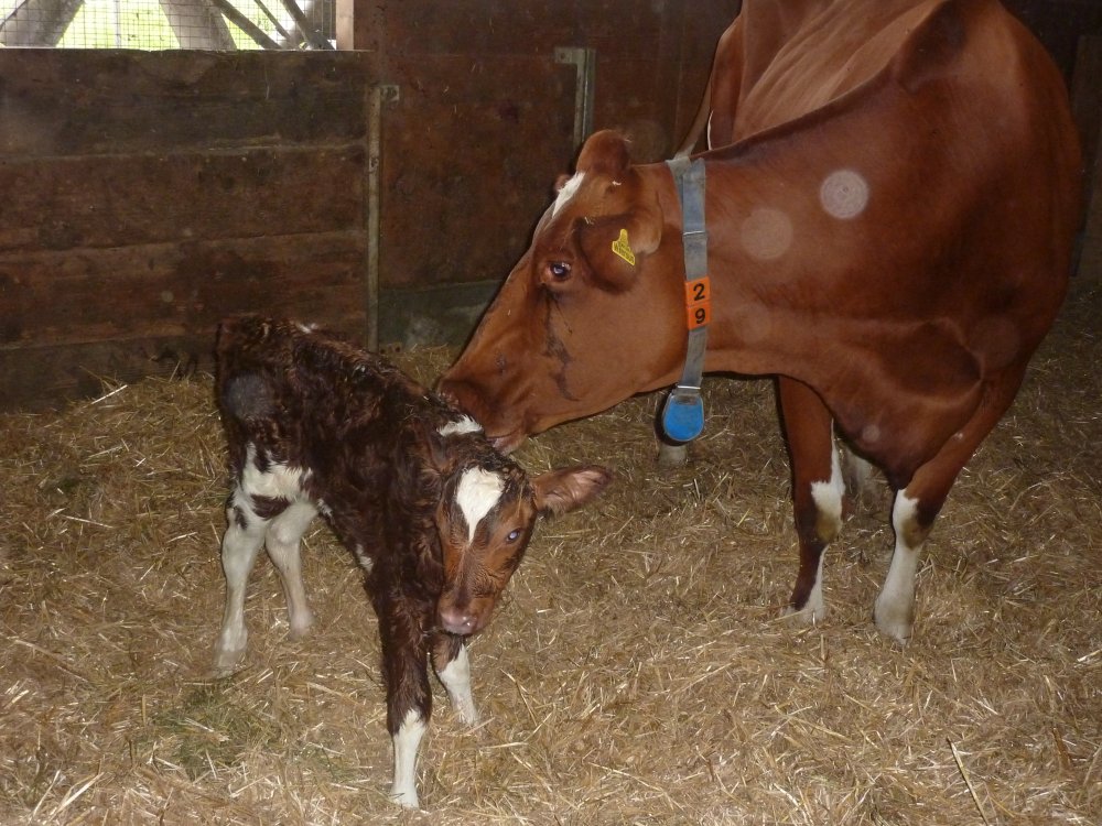 Maloya%20mit%20Leonie